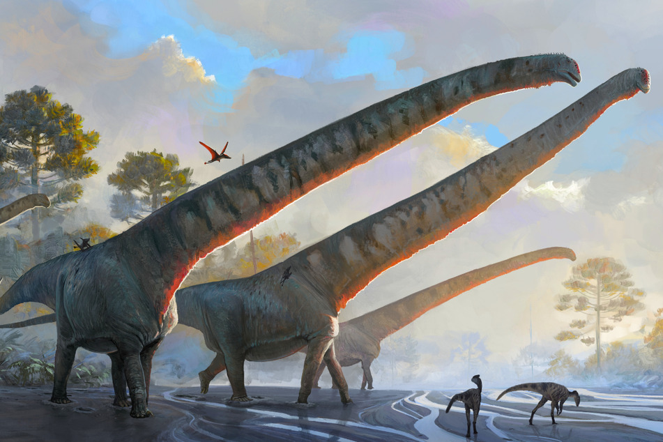 Der längste Dinosaurierhals ist mit 15 Metern sechsmal so lang wie der Hals einer Giraffe.