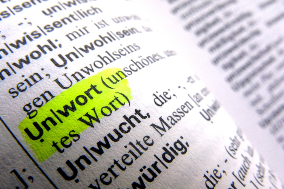 Das Wort "Unwort" steht in einem deutschen Wörterbuch. (Symbolfoto)
