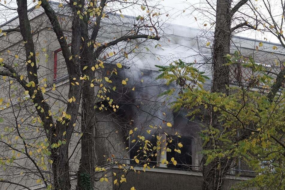 Als die Feuerwehr eintraf, qualmte es aus dieser Wohnung.