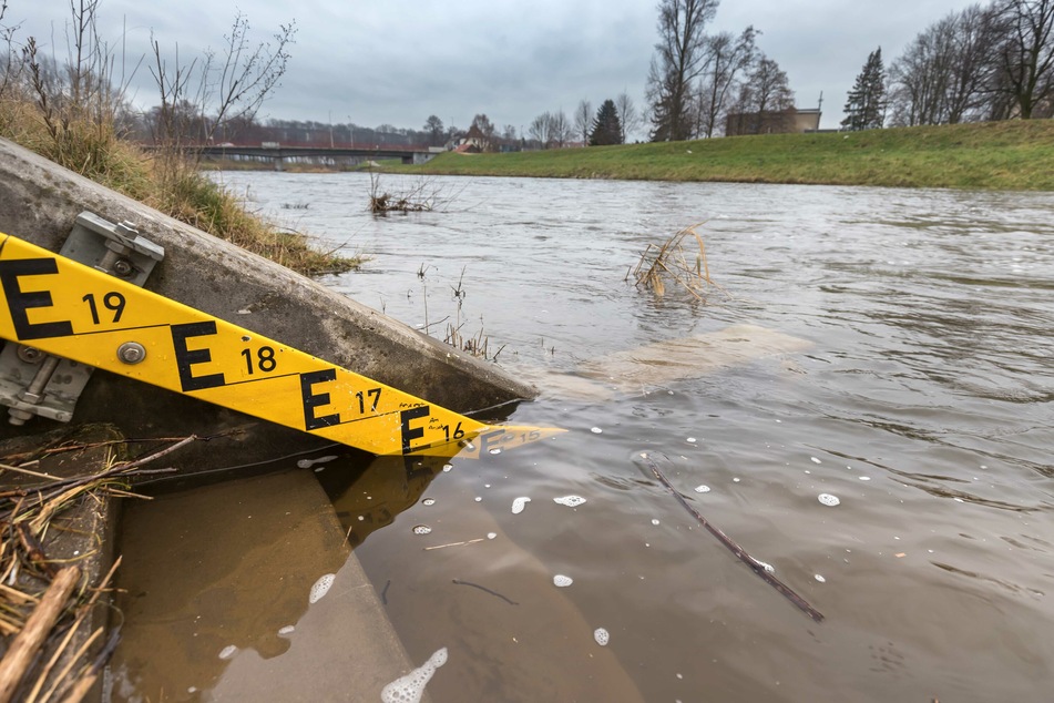Durch die anhaltenden Niederschläge soll die Zwickauer Mulde bis zum Wochenende weiterhin leicht steigen. Danach soll sich die Hochwasserlage entspannen. (Archivbild).