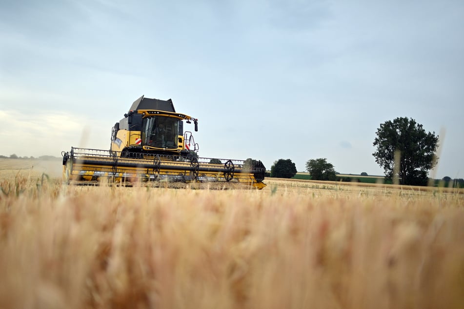 Roland Einsiedel setzte sich schon für Bio-Landwirtschaft ein, bevor das Thema groß in aller Munde war. (Symbolfoto)
