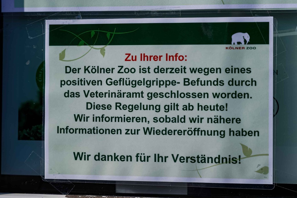 Der Kölner Zoo bleibt für Besucher nach einem positiven Geflügelgrippe-Befund vorerst geschlossen.