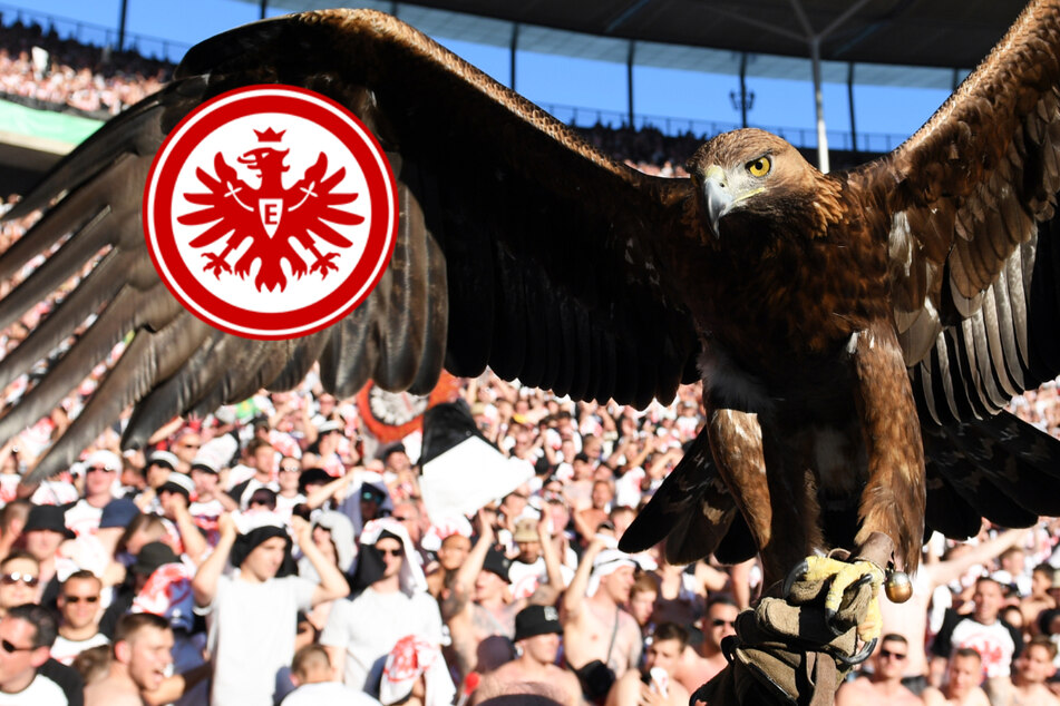 Eintracht Frankfurt startet gegen Hammer-Gegner in die neue Bundesliga-Saison