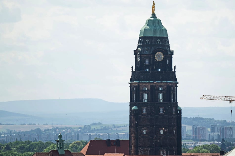 Dresden: Dresdner Rathausturm soll wieder dauerhaft öffnen: Wanderfalken bestimmen Starttermin