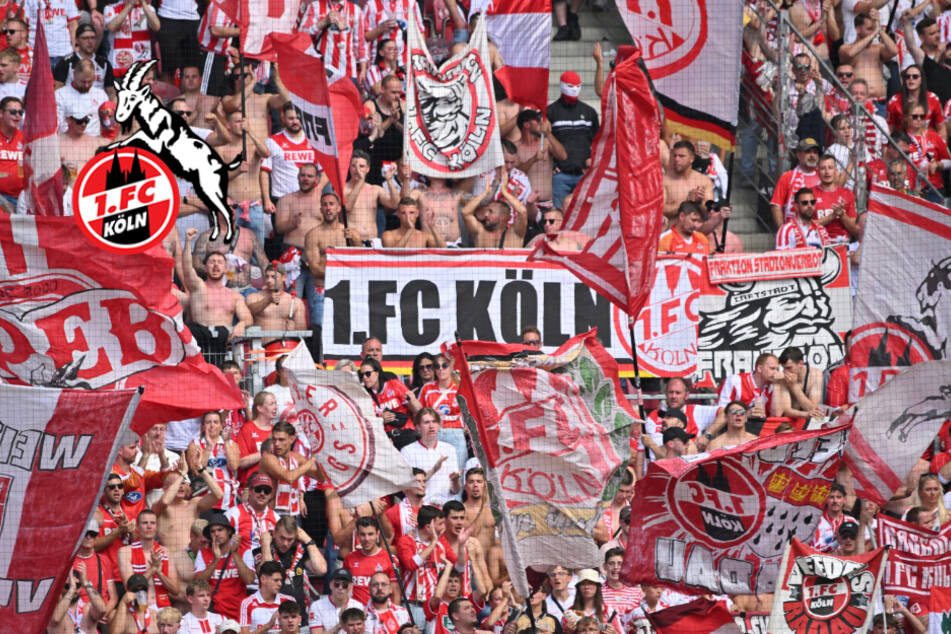 Europafieber beim 1. FC Köln: Geißböcke wollen internationalen Rekord knacken