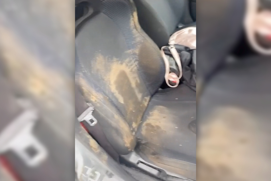 Bethany Coker (26) war entsetzt. Wieso war ihr Auto so schmutzig?