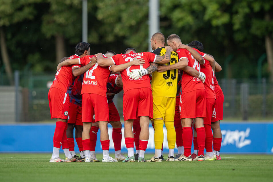 Tasmania Berlin steht praktisch als zweiter Aufsteiger der Regionalliga Nordost fest.