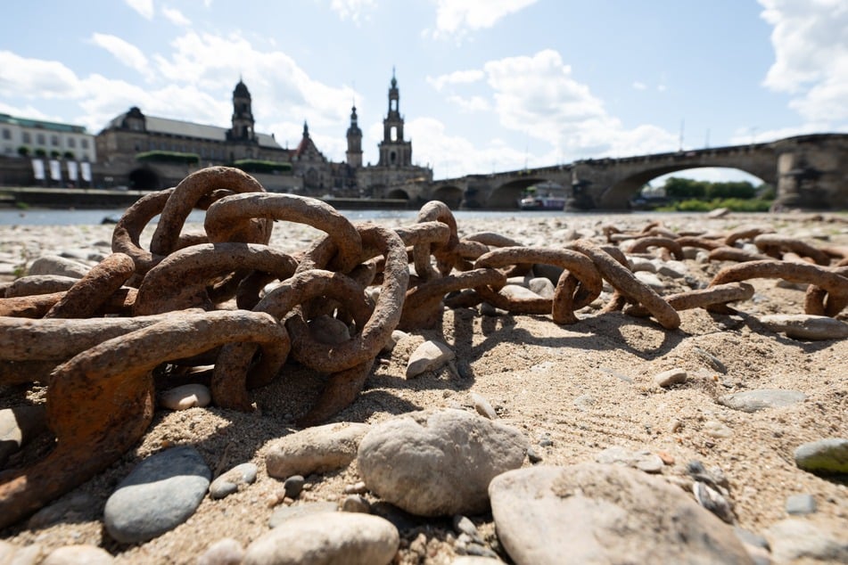 Die Hitze und Trockenheit ist am Elbufer in Dresden sichtbar.