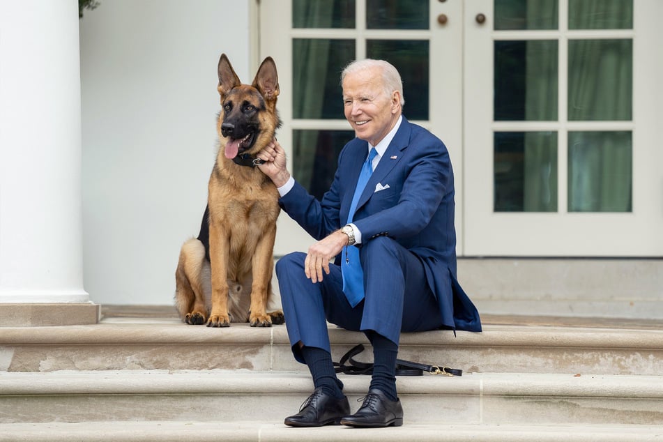 Commander, der Hund von US-Präsident Joe Biden (80), muss das Weiße Haus verlassen.