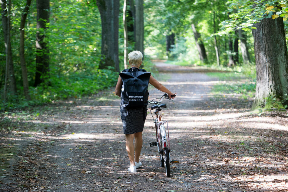 Bei einer geführten Radtour könnt Ihr Gebäude von Richard Möbius kennenlernen.