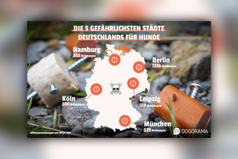 Die meisten Giftköder wurden in den vergangenen Jahren in Berlin, Hamburg, München, Köln und Leipzig gefunden.