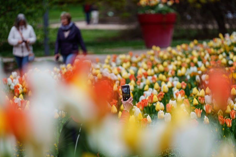 Das Wetter lädt zu einem Spaziergang ein; so wie hier im Frankfurter Palmengarten.