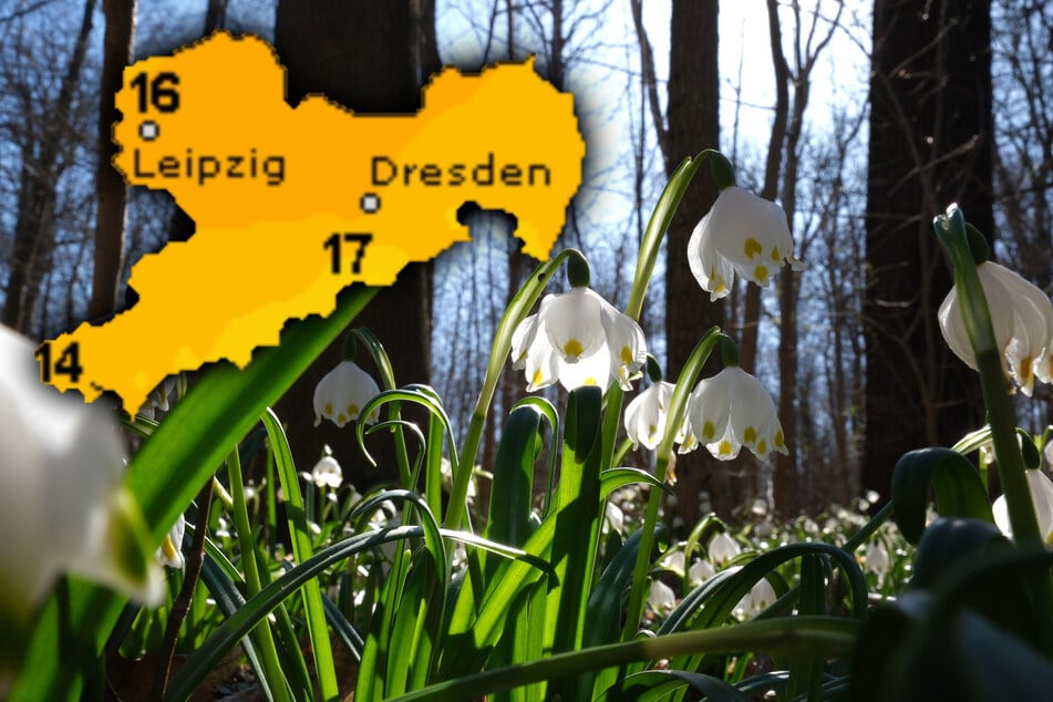 Vom Regenwetter zu 17 Grad und Frühlingsgefühlen: Es wird warm in Sachsen