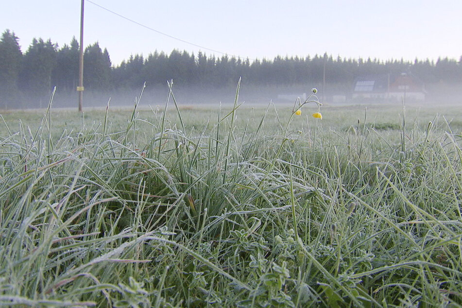 Minus 2,3 Grad war es am Sonntagmorgen am Boden in Marienberg-Kühnhaide. (Archivbild)