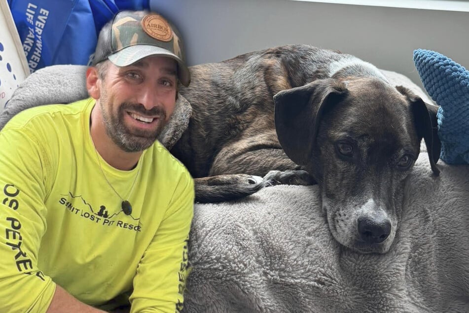 Tierretter findet 43 Tage vermissten Rocky: "Er ist der einzige Hund, bei dem ich jemals geweint habe"