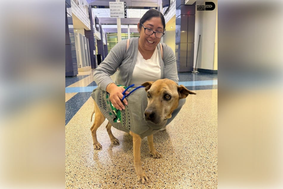 Buttercups Frauchen konnte es nicht fassen. Nach zehn Jahren hatte sie nicht mehr mit einem Wiedersehen gerechnet.