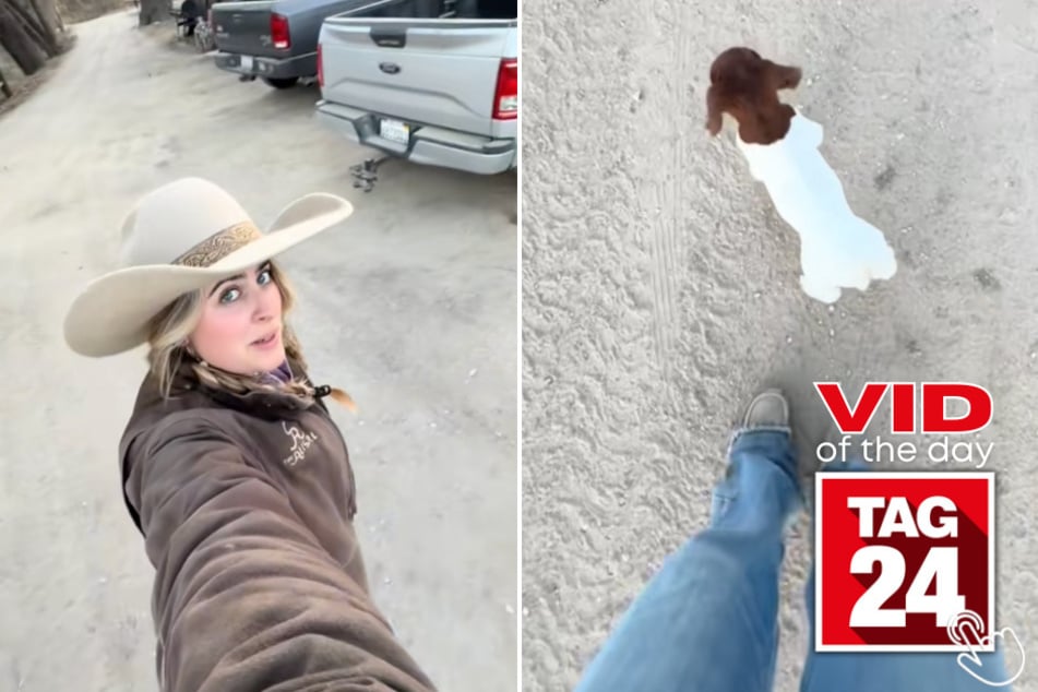 Today's Viral Video of the Day features a woman who showed off her new addition to the farm, which just so happens to be a "tripping hazard."