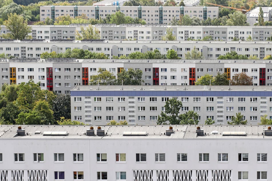 In Halle-Neustadt entwickelte sich ein verbaler Streit zu einer körperlichen Auseinandersetzung. (Symbolbild)