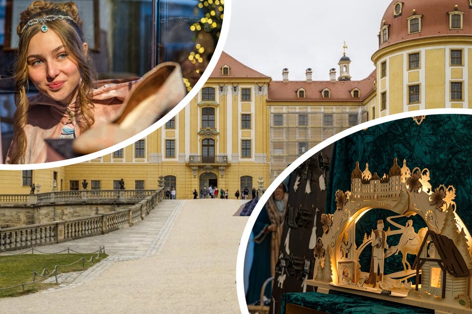 Dresden: Am Samstag kommt der TV-Prinz zu Besuch: Jetzt regiert Aschenbrödel wieder auf Moritzburg!