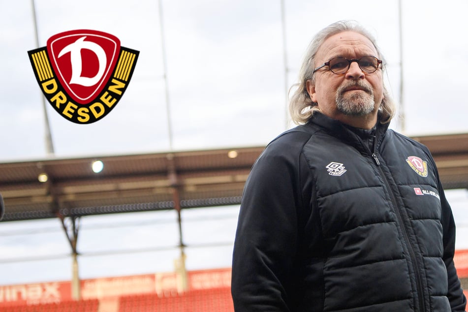 Pokalfight "wie ein Europacup-Spiel" für Dynamo: Coach Scholz ist heiß auf Zwickau!