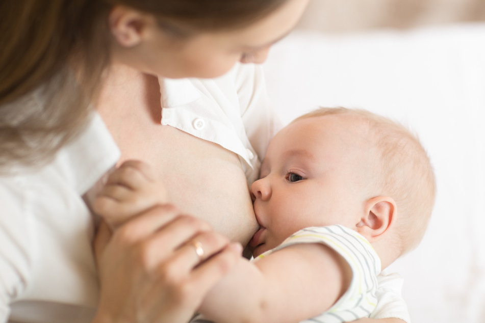 Von menschlichen Müttern lernte das Affenweibchen, wie man ein Baby stillt. (Symbolbild)