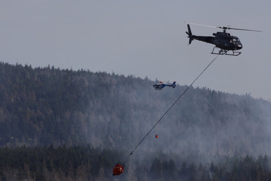 Katastrophenfall wegen Waldbrand im Harz! Tagelange Löscharbeiten erwartet