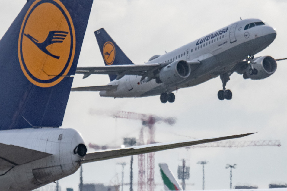 Trotz neuer Virus-Variante: Lufthansa-Flieger aus Südafrika landet unbedarft in Frankfurt