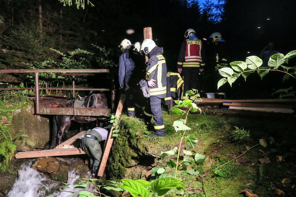 Die Feuerwehr befreite das Tier aus seiner misslichen Lage.