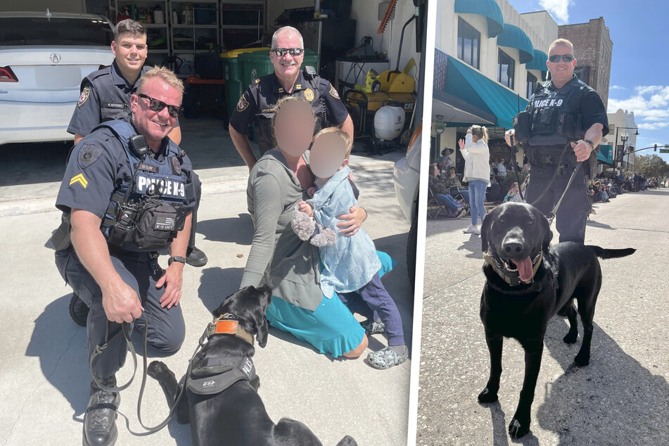 Police dog tracks down missing child in heroic rescue!