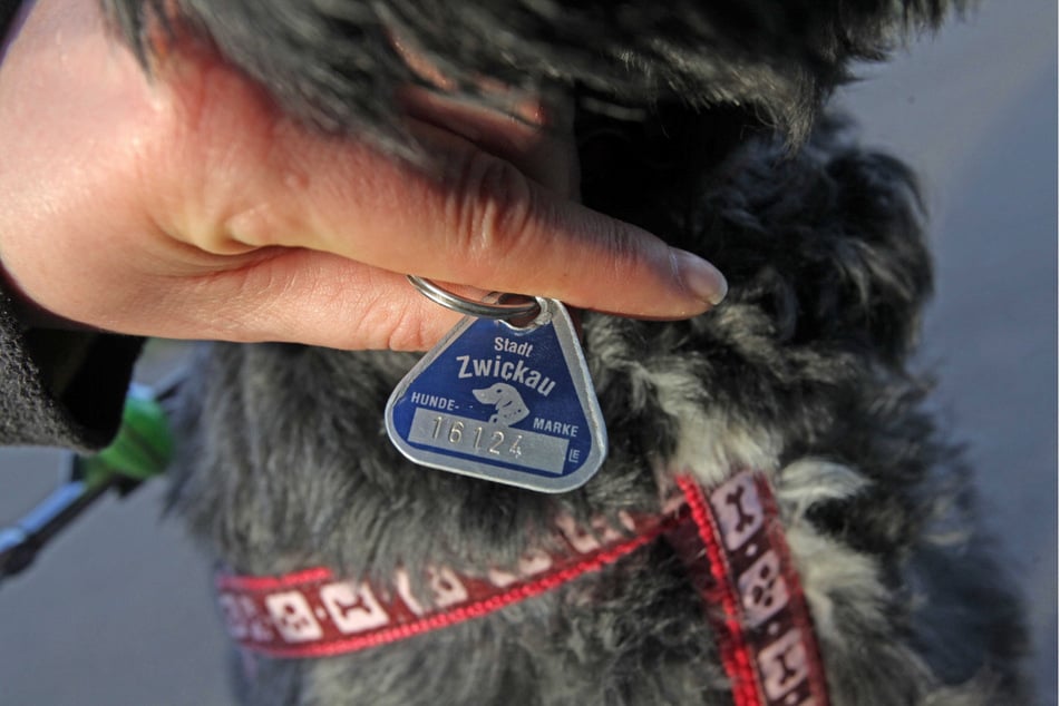 Die Zwickauer Steuermarke: Die Stadt senkte die Hundesteuer zwar von 120 auf 108 Euro, sie ist mit Dresden dennoch die teuerste Hundehalterkommune in Sachsen.