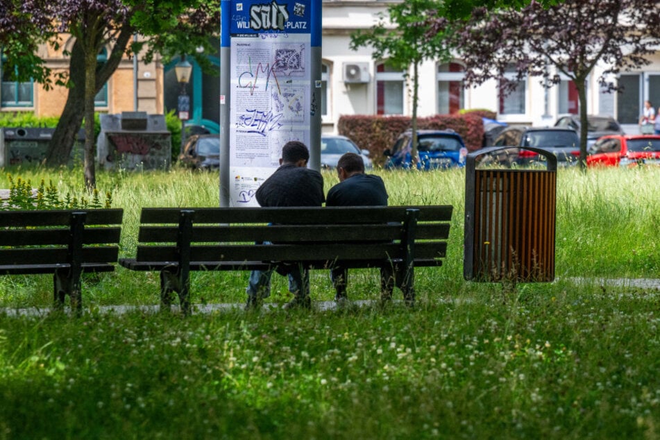 Auf dem Wilhelm-Külz-Platz in Schloßchemnitz wirkt die Rasenfläche alles andere als gepflegt.