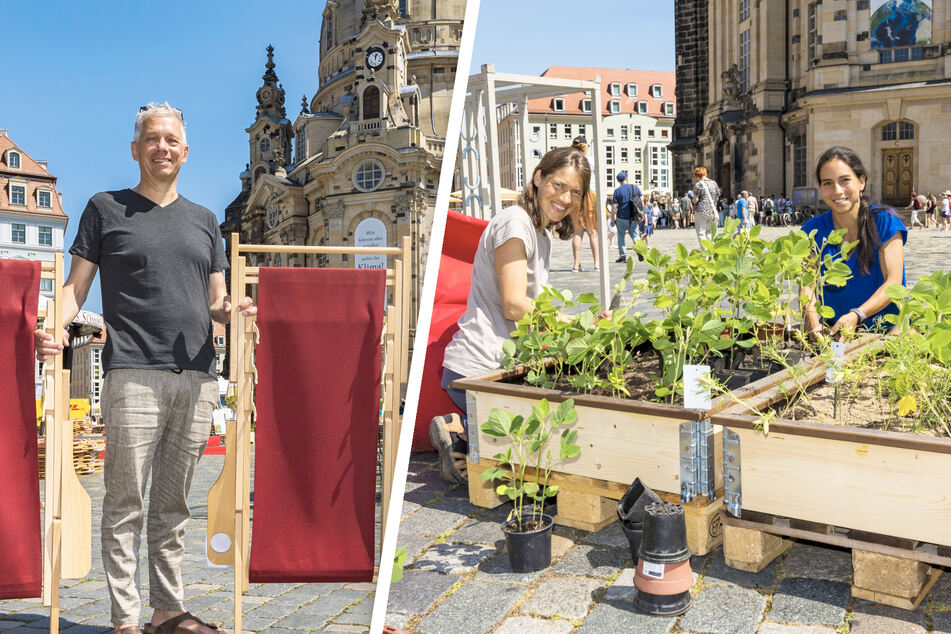 Dresden: Zum "Palais Sommer" wird der Neumarkt in Dresden begrünt!