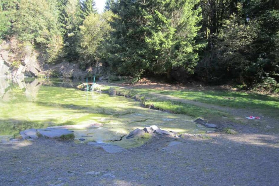 Viele Menschen gehen gerne an den See, am Wochenende wurde das mit Öl verhindert.