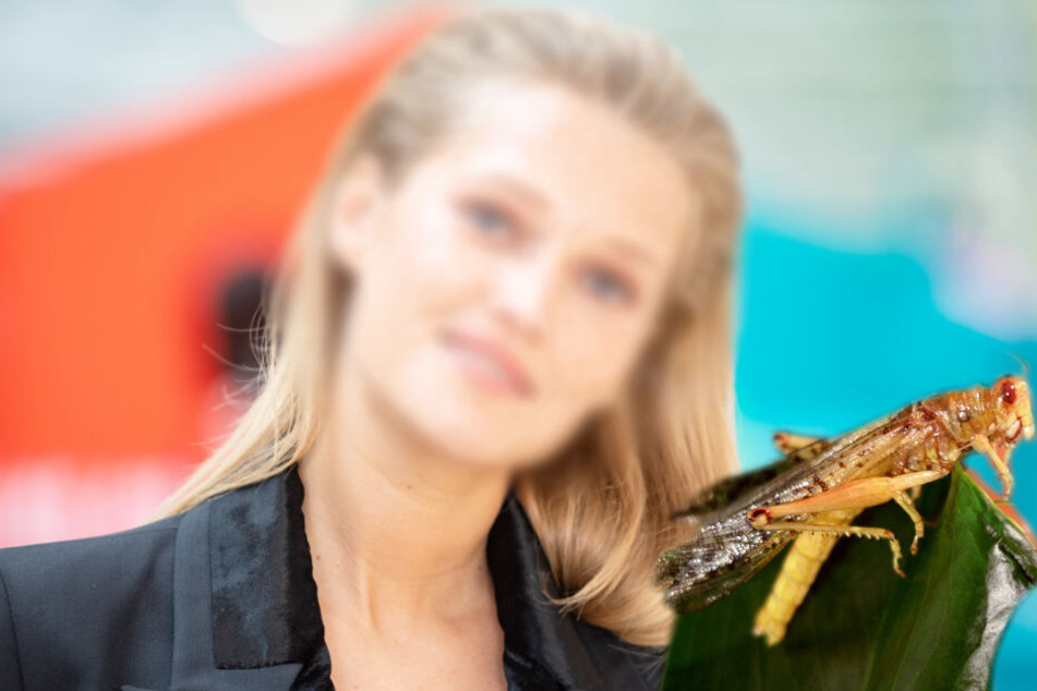 Dschungel-Prüfung bestanden! Dieses Topmodel steht auf Insekten