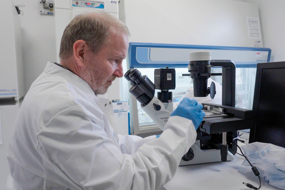 Prof. Dr. Stefan Schlatt von der Universität Münster forscht mit Tierversuchen.