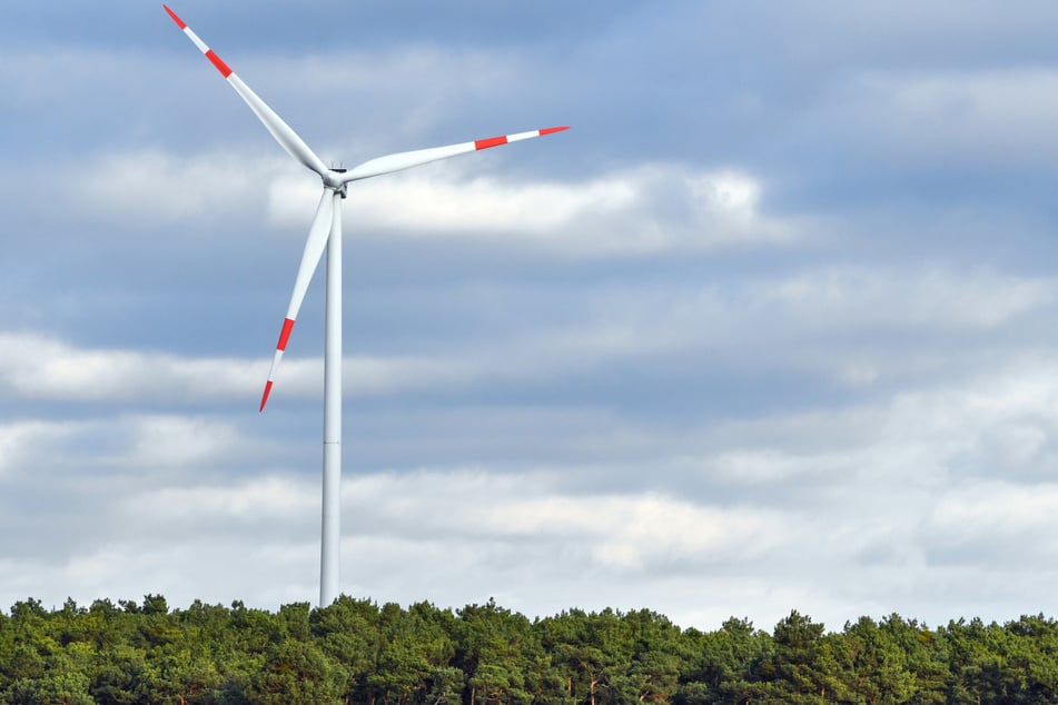Naturschutzbund will keine Windkraftanlagen in Sachsens Wäldern