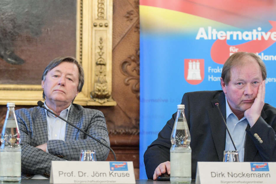 Streiten sich um die Art der Kritik: Jörn Kruse (link), Fraktionsvorsitzender der AfD in der Hamburgischen Bürgerschaft, und Dirk Nockemann, Landesverbandsvorsitzender der AfD (Archivbild).