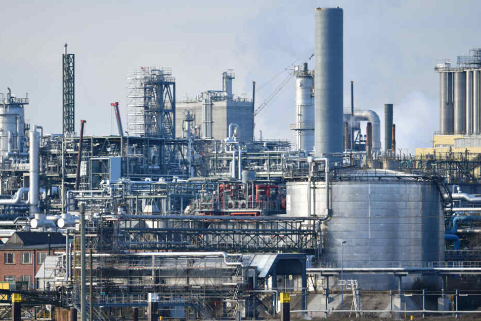 Industrienalagen des Chemiekonzerns BASF stehen am Rheinufer auf dem Werksgelände.