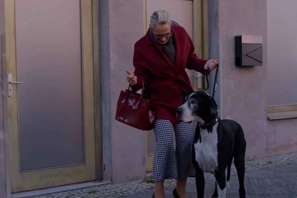 Maren hat mit Tolstoi alle Hände voll zu tun.