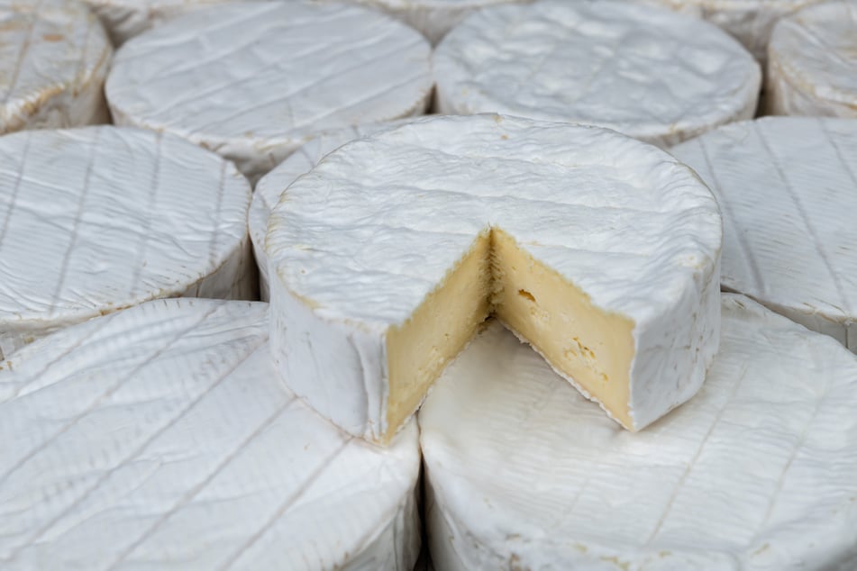 Zwei Tote nach Käse-Verzehr: Warnung für Deutschland herausgegeben