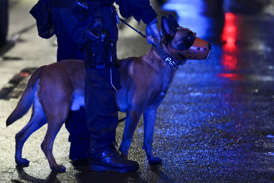 Bei den Durchsuchungen kamen auch Diensthunde zum Einsatz. (Symbolfoto)
