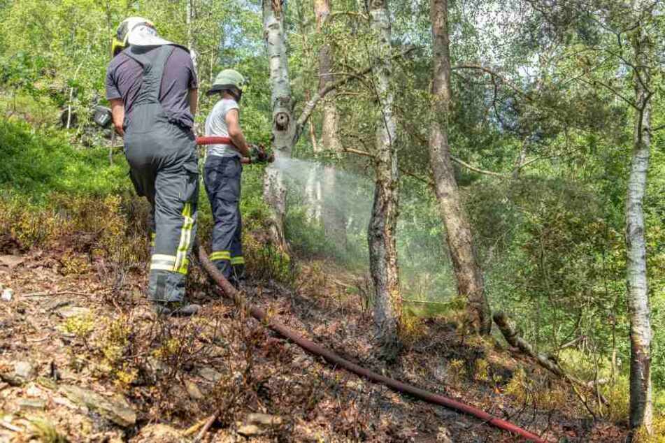 In einem Wald in Schneeberg brannte es am Dienstag auf einer Fläche von mehreren Quadratmetern.