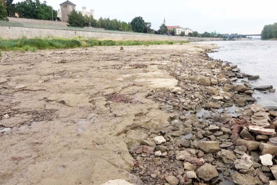 Inzwischen sind weiter Teile des Flussbetts freigelegt.