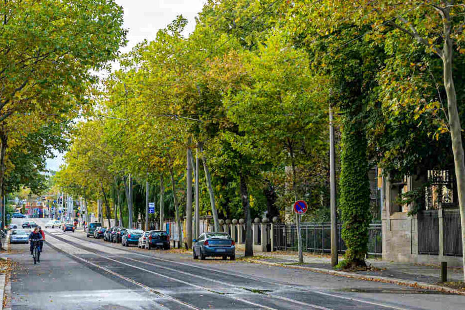 Die Sanierungsarbeiten an der Karl-Heine-Straße sind abgeschlossen.