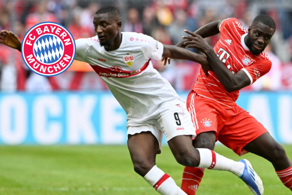 VAR-Drama! VfB Stuttgart erzielt Last-Minute-Ausgleich gegen FC Bayern