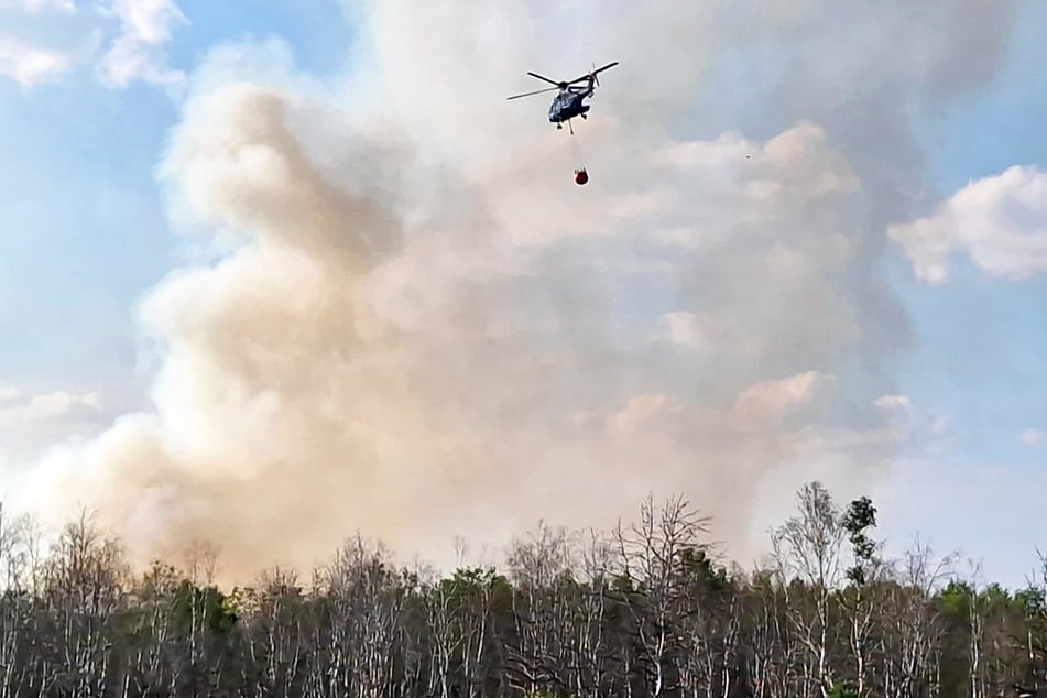 Laut Feuerwehr ist ein Gebiet betroffen, auf dem es im vergangenen Jahr schon einmal auf einer Fläche von etwa 700 Hektar gebrannt hatte.