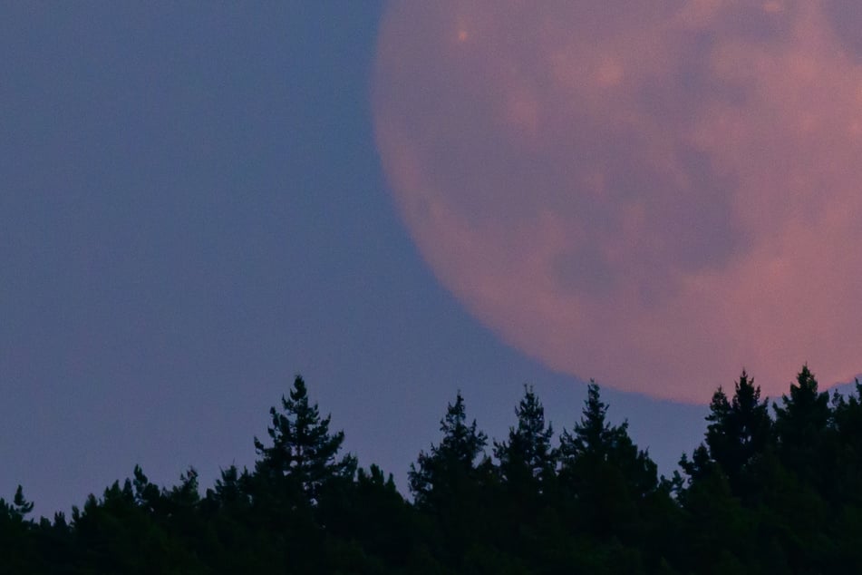 Mondfinsternis: Totale Mondfinsternis am Sonntag am Abendhimmel sichtbar