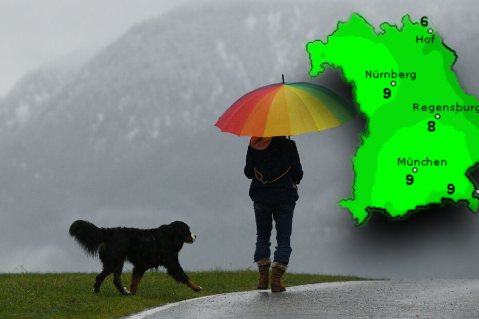 Da es am Wochenende immer wieder regnen kann, solltest Du einen Schirm parat haben. (Bildmontage)