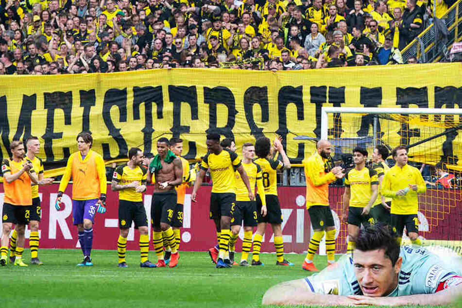 Schaut Ex-BVB-Stürmer Robert Lewandowski (r.) mit seinen Münchnern am Ende der Saison in die Röhre? Dortmund hat momentan alle Trümpfe in der Hand. (Bildmontage)