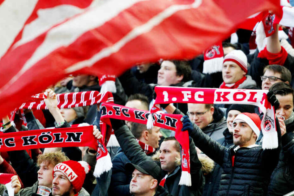 Das Spiel des 1. FC Köln bei Erzgebirge Aue musste am Sonntag kurzfristig abgesagt werden.